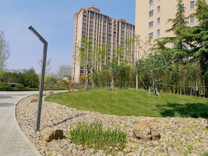 新城東路(創新街-北宮街)口袋公園工程